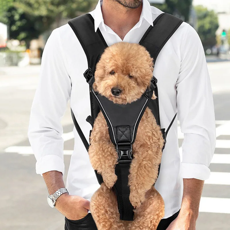 Tas punggung perjalanan anjing - Luxury Bags Medium Size ulasan dan harga